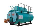 低氮蒸汽锅炉-低氮导热油炉